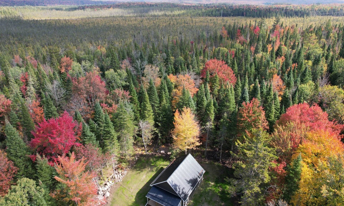 Owls Head House | Adirondack Private Cabin, Private Adirondack Cabin close to ATV trails, Skiing, hiking and golf cour.
