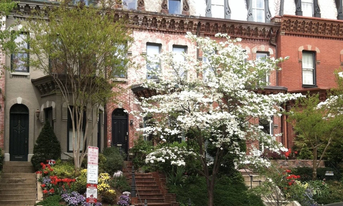 Embassy Row House | Exceptional home & location in Dupont Circle