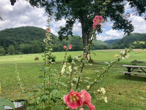 Kegley House | Gorgeous cabin stay near I-77, views, antiques, Wi-fi, wonderful experience for 2!