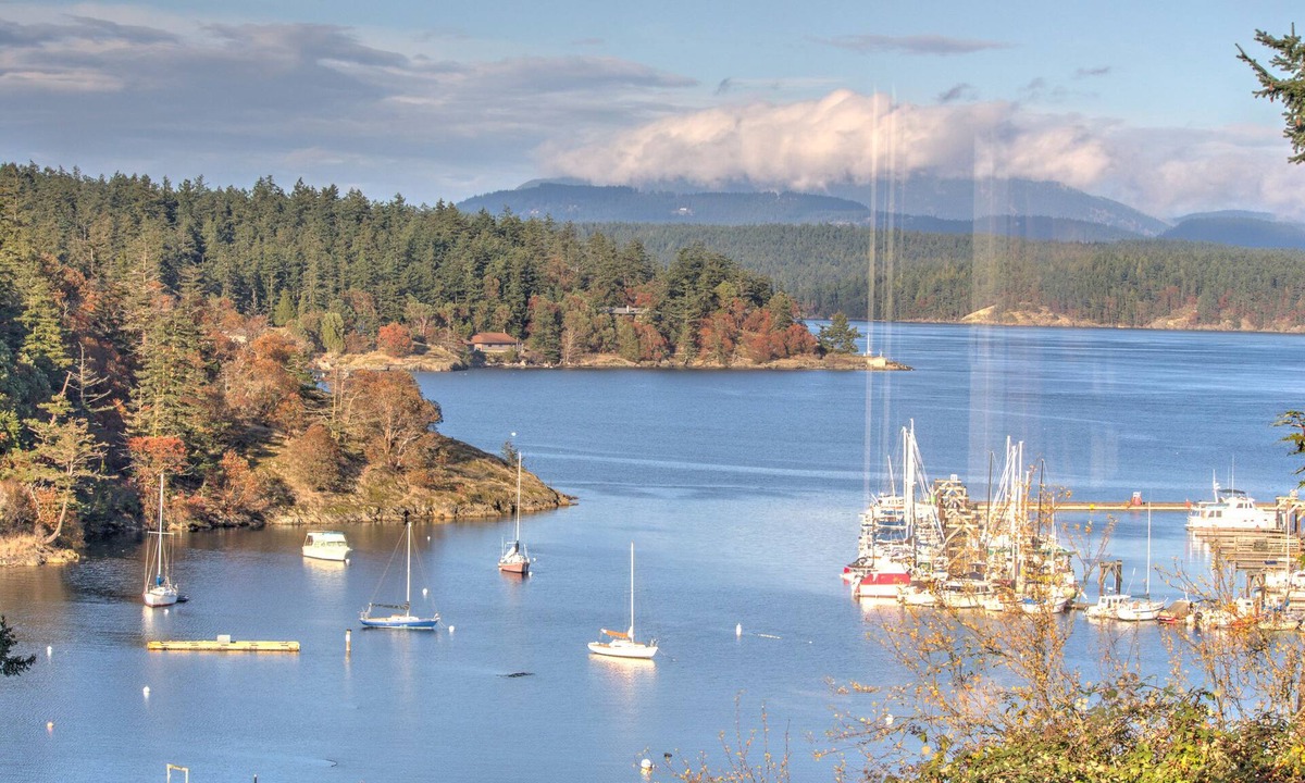 Friday Harbor Condo | Harbor View Condo in Downtown! (Marina Lookout)