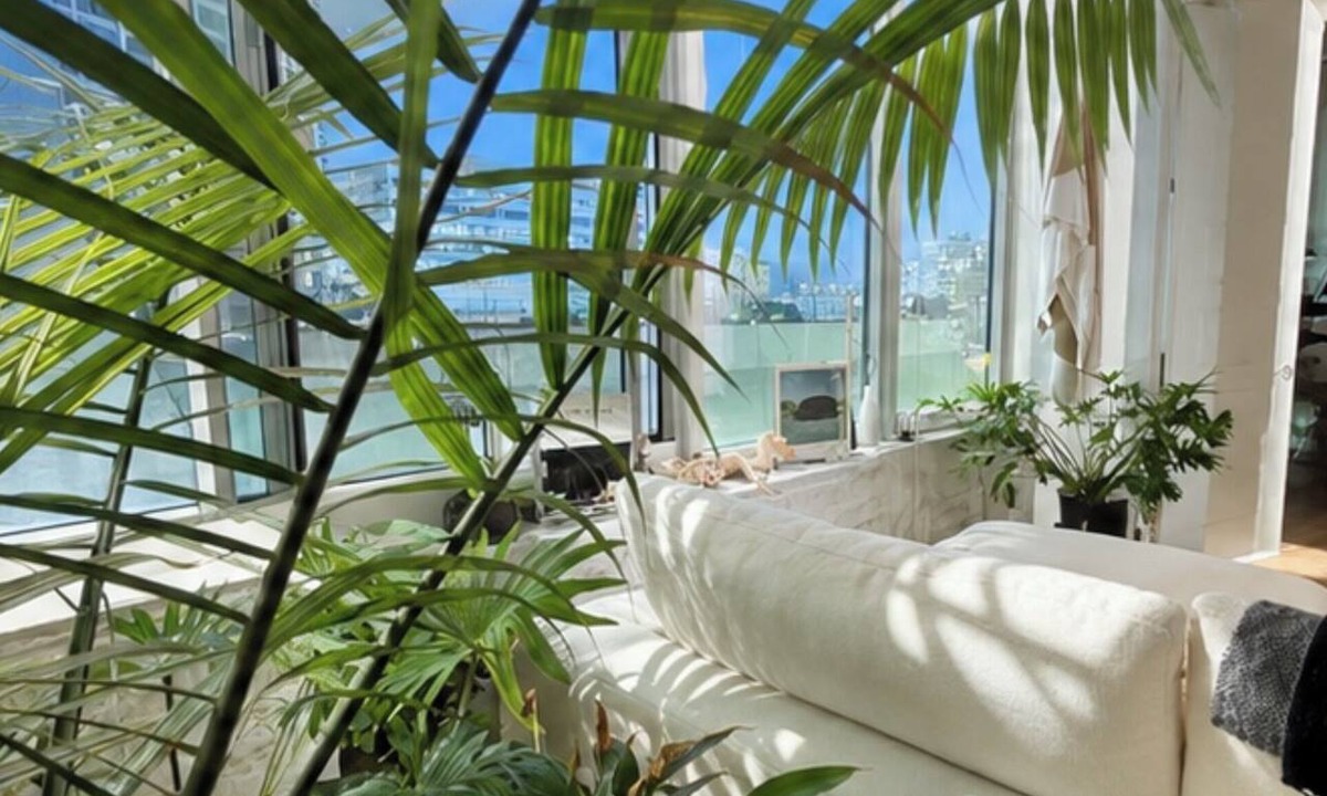 SoNo Apartment | Intentionally curated 1 bedroom dwelling in the heart of Atlanta.