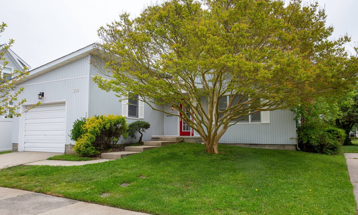 Country Club Estates House | Pet Friendly Downtown Rehoboth Beach Rustic and Comfy Home