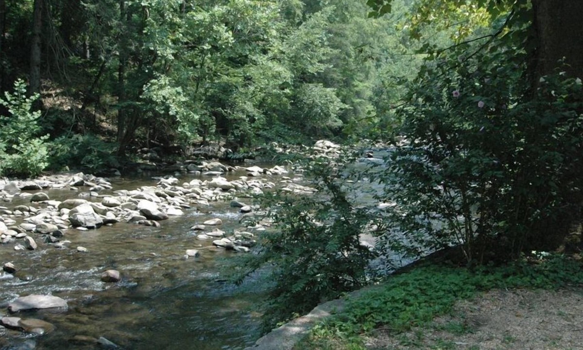 Gatlinburg Cabin | River View Cabin/Steps to River Access/Walk to Downtown Gatlinburg/Hot Tub+Sauna