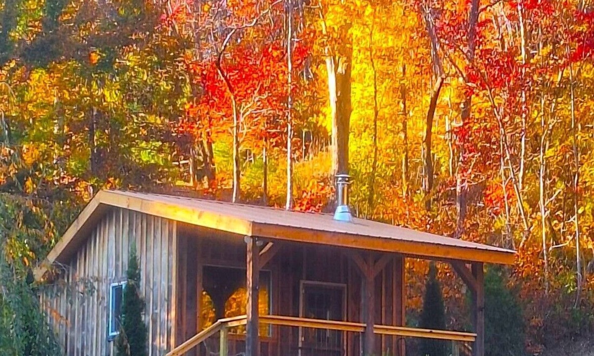 Vein Mountain Cabin | Secluded Mountain Cabin on Private Pond · Fireplace · Hiking Trails · WiFi