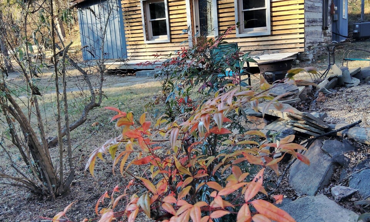 Berryville Cabin | Secluded Rustic Cabin Escape on 5 Private Acres – Near Berryville and River