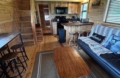 Old Fields Cabin | Amazing Star gazing Mountain View 2-bedroom cabin with AC, WiFi at Old Fields WV