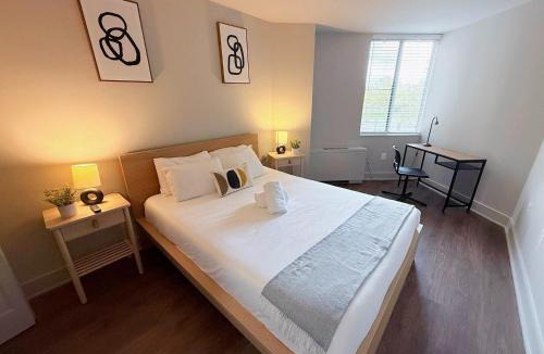 Pentagon City Apartment | Beautiful Apt in the Heart of Pentagon City