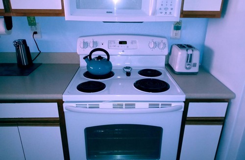 Myrtle Beach Condo | Beautiful, Oceanfront Free WiF. Come watch the dolphins swim by!
