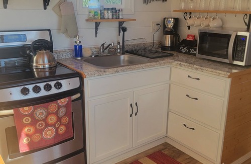 Silverton Cabin | Big Tiny Home with panoramic views at Buena Vista Lavender Farm