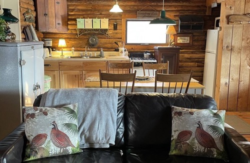 Great Valley Cabin | Charming Log Cabin on Private Pond Nestled in Woods Near Holiday Valley Resort