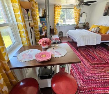 Capitol Heights Apartment | Deluxe Sunny Double Studio DC MD Line