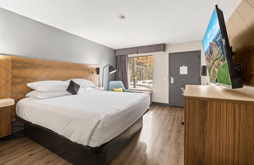Orchard District Hotel | Get Ready for Adventure! 2 Family-friendly Units. Close to Pine Nursery Park!