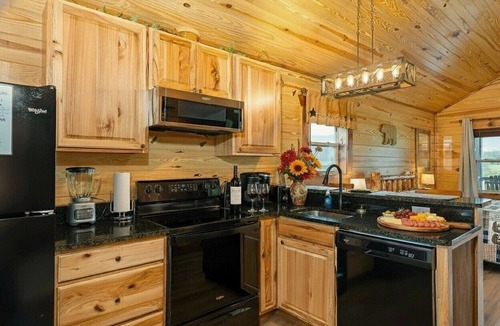Stanley Cabin | HUGE summer SAVINGS LURAY Mountain getaway Private Log cabin 2 Hot Tub Fireplace