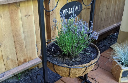 Sequim RV Rental | Lavender Glamping Tent with heater , mini fridge and fire pit.