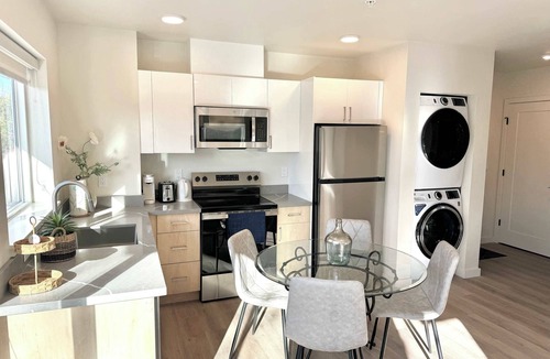 Mount Baker Apartment | Luxurious Downtown Apartment in Seattle B03
