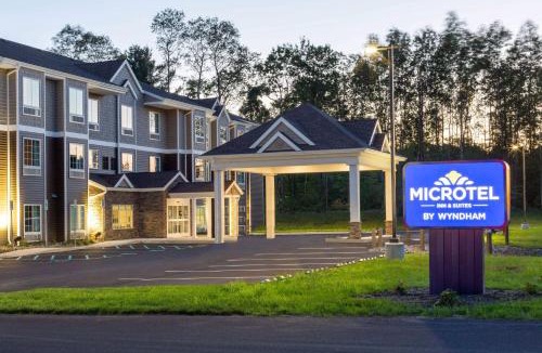 Amsterdam Hotel | Microtel Inn & Suites by Wyndham Amsterdam NY
