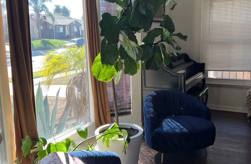 Los Angeles House | Mid-Century Spanish Villa near SoFi & LAX. Pet-Friendly!