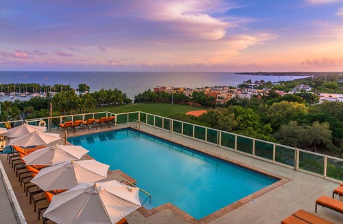 Coconut Grove Apartment | Modern Suite | Bayfront Pool + Rooftop Gym