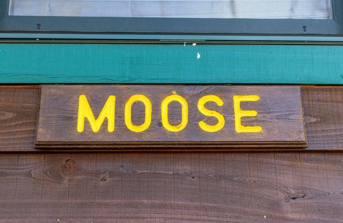 Elkins Cabin | "Mountain Escape: The Moose - Sleeps 8 Guests!"