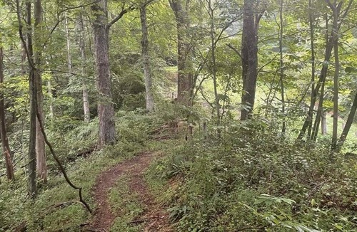 Stollings Cabin | Mountaintop Cabin with pool, cinema room, Full Bar, Billiards, Kitchen, Sleeps 6