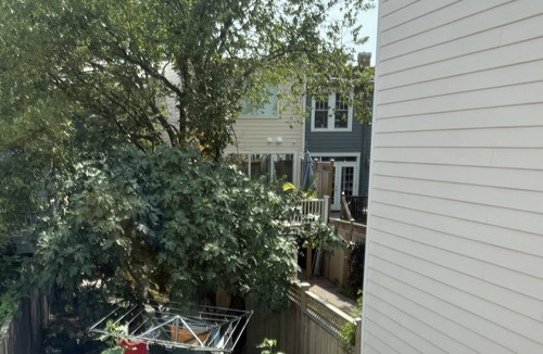 Hill East House | New carriage house in Capitol Hill, steps from Congressional Cemetery