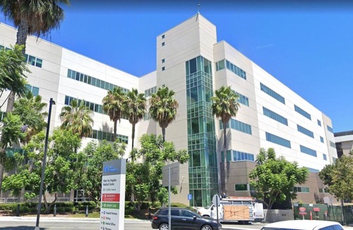 Pico - Robertson Apartment | Newly built modern 1-bedroom apartment near LACMA. 5 minutes to Rodeo Drive!