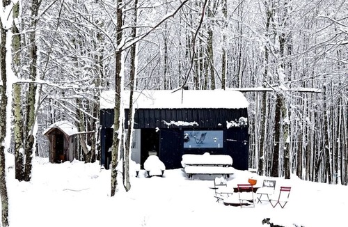 Bovina Center Cabin | Off-Grid Tiny Cabin Retreat with Fire Pit & Forest Views in Bovina, New York