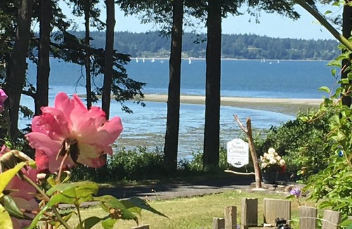 Bow Cottage | One August weekend still open! Awesome views, close to great food & fun hikes!