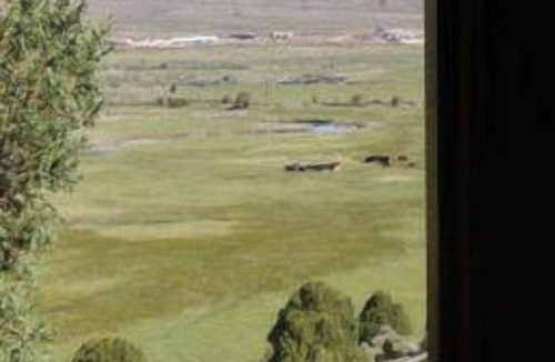 Hatch Cabin | Ranch Hands Bunkhouse RiverView cabin - Sevier River Ranch - 1 Cal King Bed