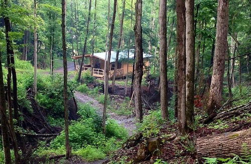 Dalton Cabin | Rustic Creekside Cabin on 100-Acre Forest near Letchworth Park, New York