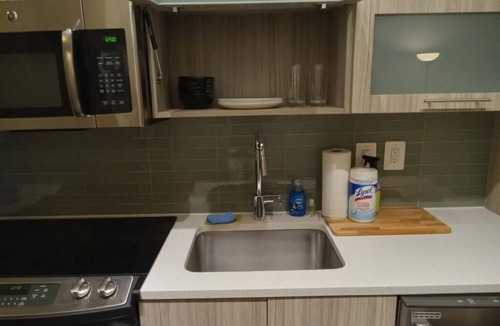 Downtown Apartment | Stylish Silver Spring Home by Metro