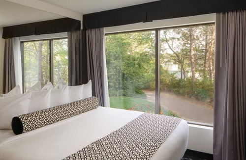 Riverside Hotel | Stylish & Spacious Suite! Centrally Located | Seasonal Outdoor Pool Onsite