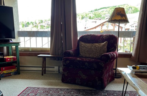Mount Crested Butte Condo | Super location for your Summer vacation! Hiking, Biking, Wild flowers.