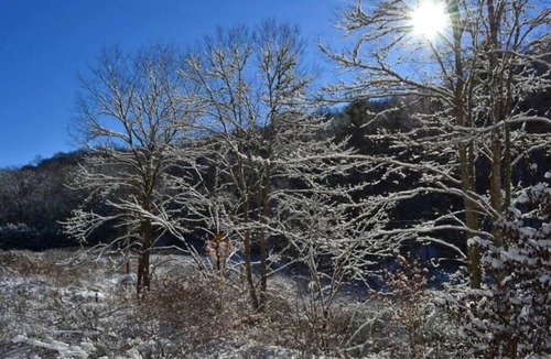 Wolf Laurel Cabin | This cabin is a 2 bedroom(s), 2 bathrooms, located in Mars Hill, NC.