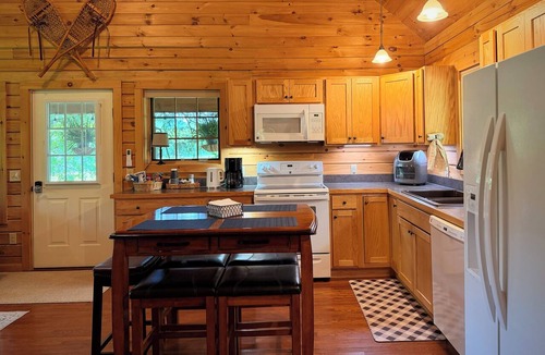 Cohocton Cabin | Timber Haven - Serene year-round log home getaway with gas fireplace, HVAC, WiFi