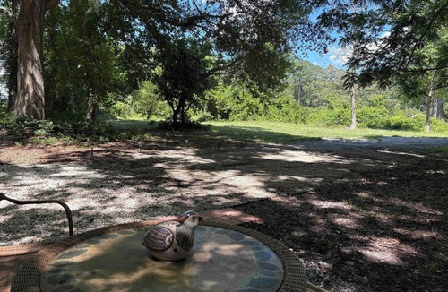 Greenbush Cabin | Tranquil tiny cabin situated in private wooded setting. Hiking trail and firepit
