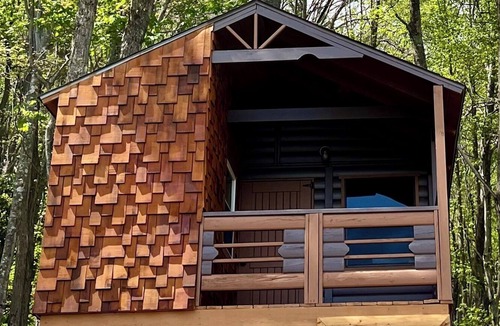 Laurel Ridge Cabin | Welcome to Black Mountain Stomping Ground's Shroom with a View w King Bed/view