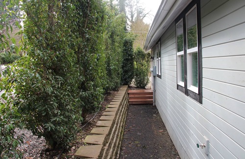 Butteville Apartment | Wonderful Studio Located in the Heart of Oregon Wine Country