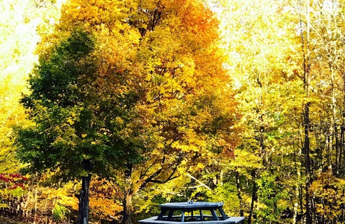 Mount Tremper House | Woodstock secluded mountain retreat with heated pool and sauna.