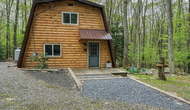2BR - Forest Cabin - Fire Pit