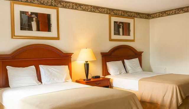 4 Comfortable Units Close to Hershey Theatre, FREE Parking, FREE Breakfast! in Palmyra