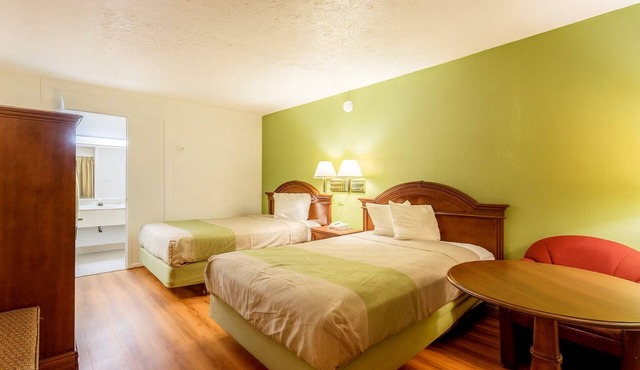 4 Efficient Rooms w/Pet-Friendly Policies Near Local Parks