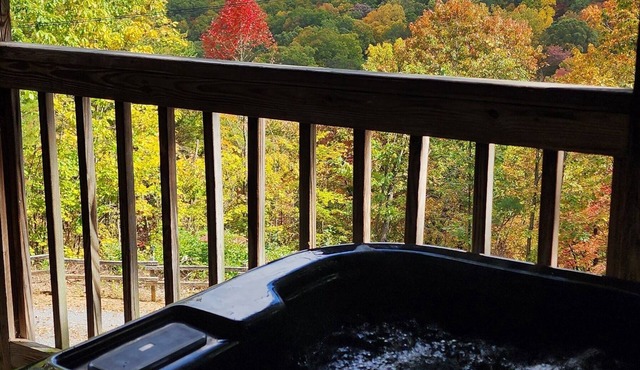 B's Nest a Private & Clean w Mtn Views & Hot Tubs!