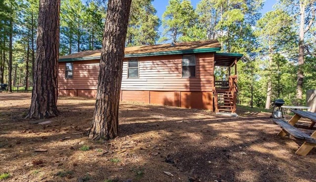 Bear Cabin - Forest Lakes