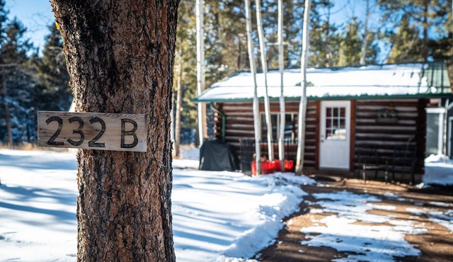 Best L'il Bunkhouse on 40 Wooded Acres