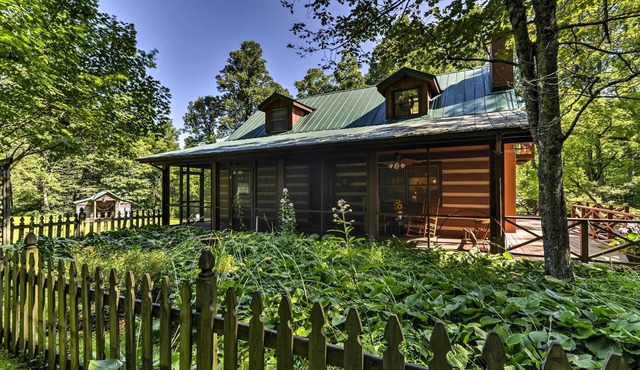 Black Mountain Cabin w/Screened Porch + Views!