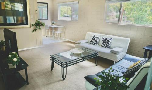 Bright 1 bedroom Near U of U, Hospitals, Downtown
