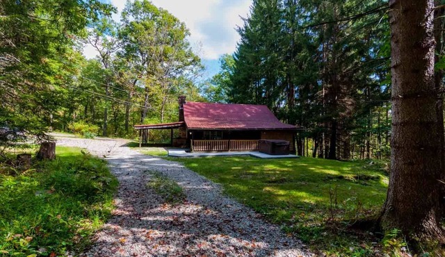 Buzzard's Cabin - 1940's Mountain Charm Near Ohiopyle State Park