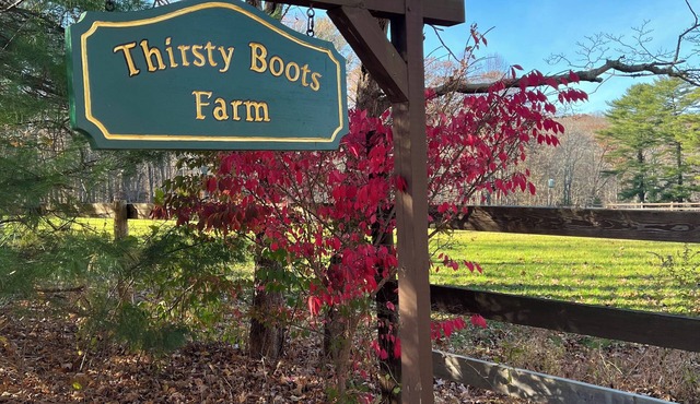 Charming 2-bedroom farm cottage in quiet Killingworth neighborhood