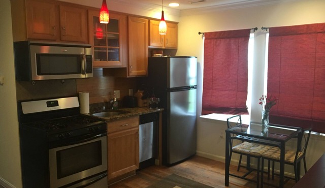 Cozy Downtown DC Condo